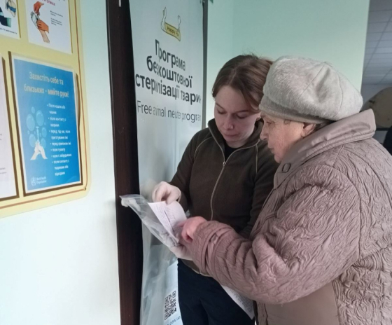 У прифронтовій Костянтинівці благодійники стерилізували безпритульних тварин