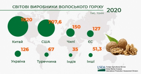 Украина входит в топ-5 мировых производителей грецкого ореха – отчет USDA