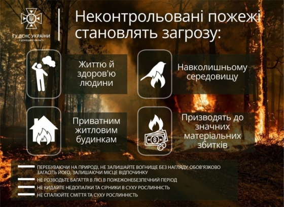 Пожежі в екосистемах та на відкритих територіях — це загроза для навколишнього середовища, здоров’я людини та економіки держави