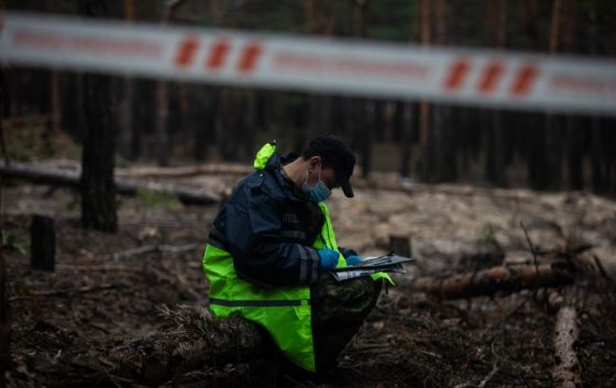 Ексгумація жертв Волинської трагедії: Польща заявила про важливий крок