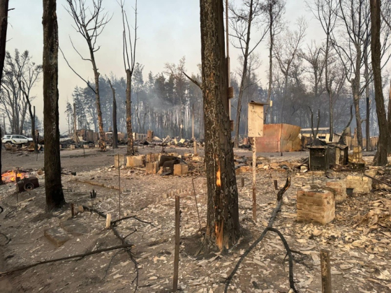 У Харківській області під час лісової пожежі згоріло ціле селище: є жертви