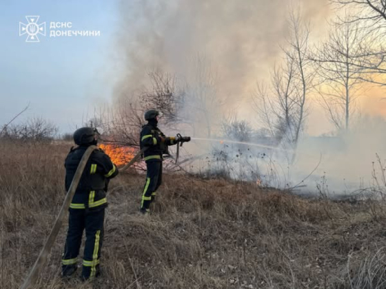 «Не паліть сухостій!» – закликають рятувальники Донеччини