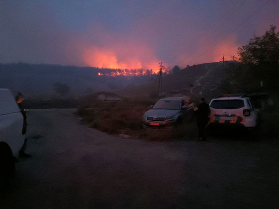 На околиці краматорського селища Біленьке російська бомба запалила ліс