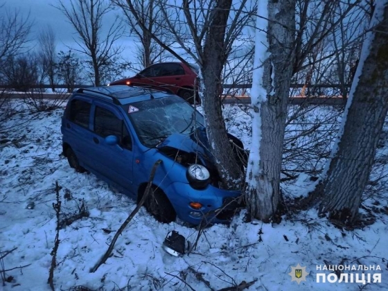 Под Лиманом водитель Chery столкнулась с деревом: пострадали двое пассажиров 