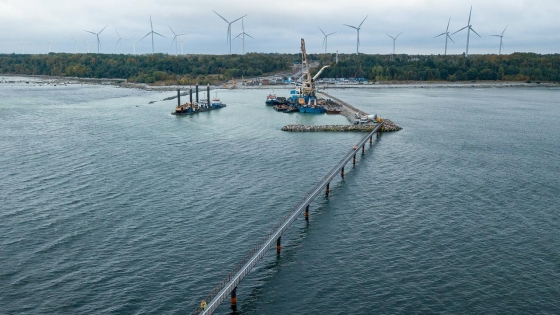 Перед аварією біля газогону Balticconnector перебували китайське та російське судна, - поліція Фінляндії
