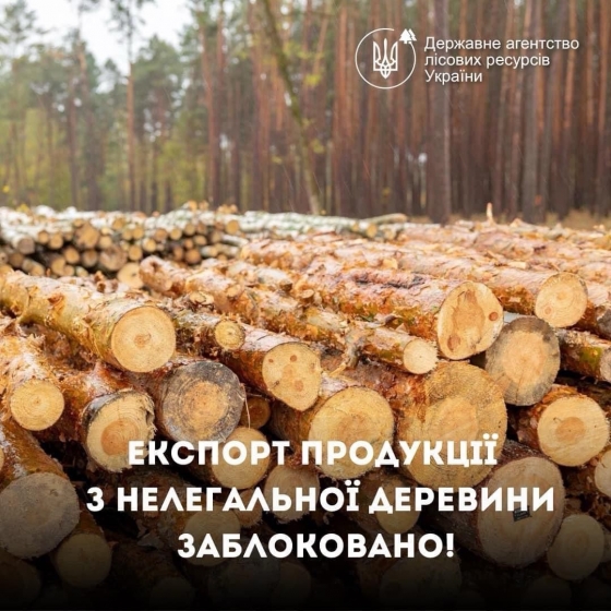 &quot;Е-сертифікат заблокував експорт з нелегальної деревини&quot;, - Держлісагентство