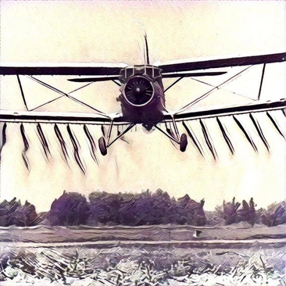 Украинский самолет АН-2 попал в Книгу рекордов Гиннесса