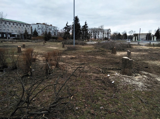 У центрі Краматорська комунальні служби провели масове знесення дерев