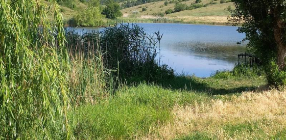 Водоймища Краматорська непридатні для купання та несуть загрозу здоров&#039;ю