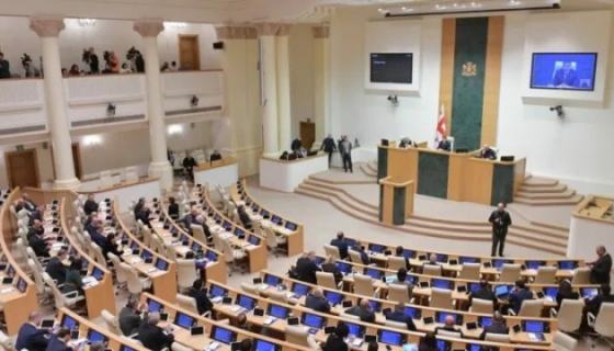 Парламент Грузії подолав вето президентки на скасування гендерних квот