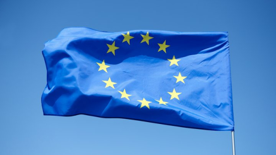 12 країн ЄС закликали захистити вибори від втручання Росії та Китаю, - Reuters