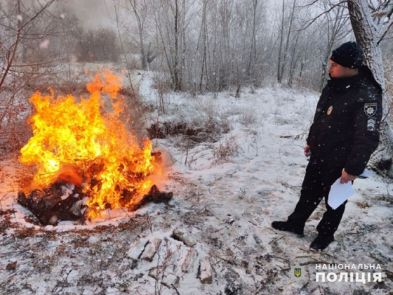В Славянске полицейские сожгли 7,5 кг наркотиков 