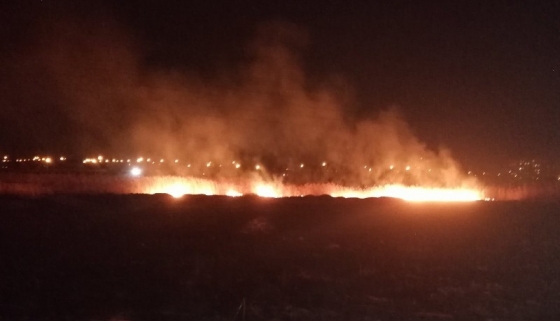 На околицях Краматорська вогонь знищив гектар сухої трави 