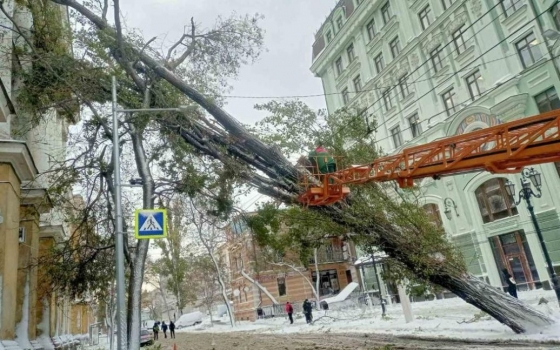 Через негоду в Одесі замерзли на смерть 3 особи, - ЗМІ