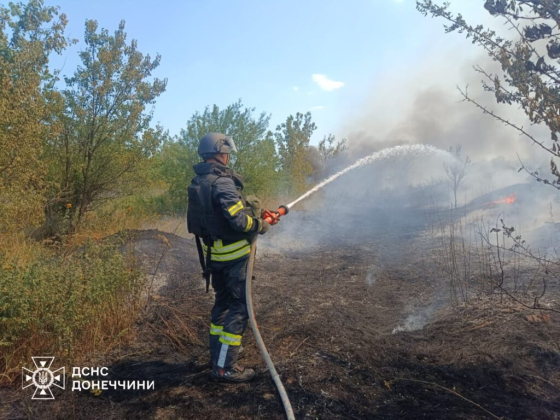 Природа Донеччини страждає від вогню: за добу рятувальники залучалися до ліквідації 13 пожеж в екосистемах