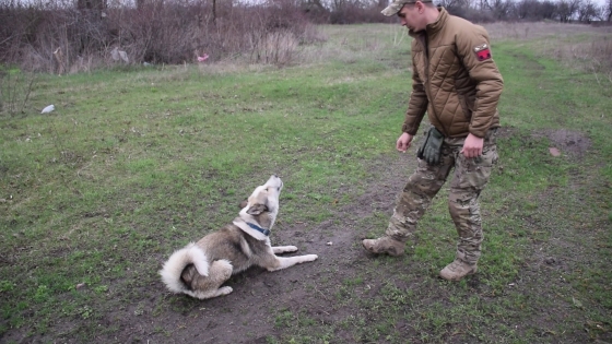 Прикордонники Краматорського загону врятували собаку, який став їхнім талісманом