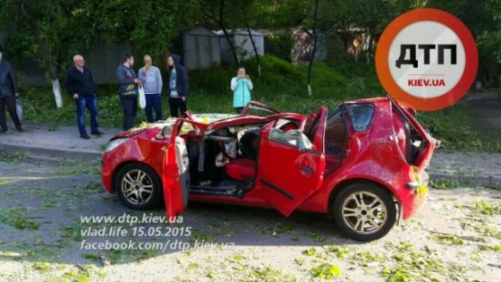 В Киеве ураган повалил дерево на автомобиль: погиб ребенок 