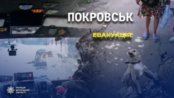 «Тут шестеро поховані». З розбитого Покровська «Білі янголи» спільно з волонтерами евакуюють вцілілих людей