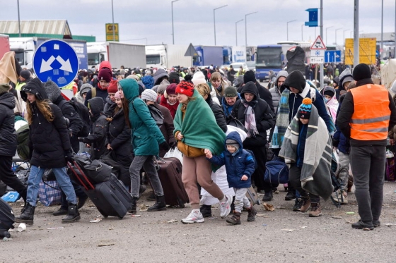 88% українських біженців у Польщі планують повернутися додому, - дослідження ООН