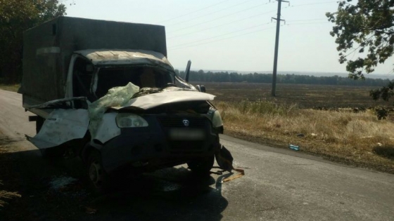 Вблизи Славянска на машину упало дерево, два человека пострадали