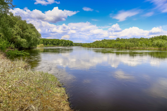 У Десні поблизу Чернігова фіксують некритичне зниження рівня кисню, - ОВА