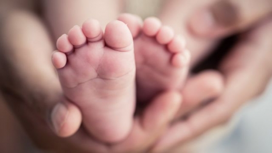 Этой темной весной пробился и светлый луч