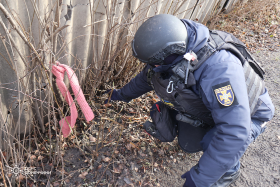 Піротехніки ДСНС вилучили ручну гранату в селі на Лиманщині