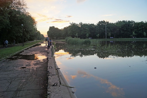 В краматорском парке «Юбилейный» озеро переполнилось водой
