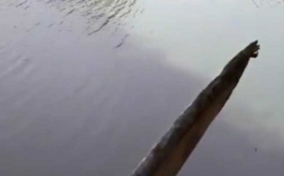 Стало известно, почему вода в реке Казенный Торец изменила цвет