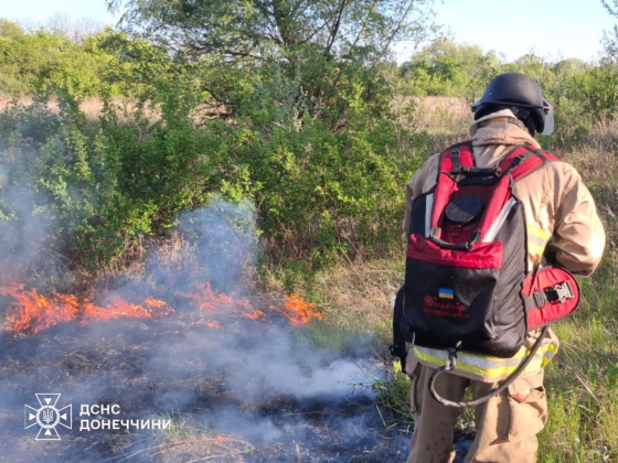 8 пожеж на відкритій території ліквідували рятувальники Донеччини