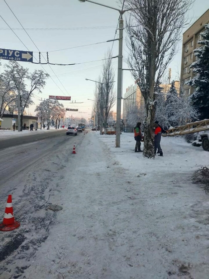 Фотофакт: в центре Краматорска массово сносят старые тополя