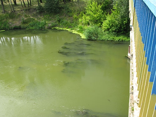 Белая вода Оскола уже пришла в Святогорск
