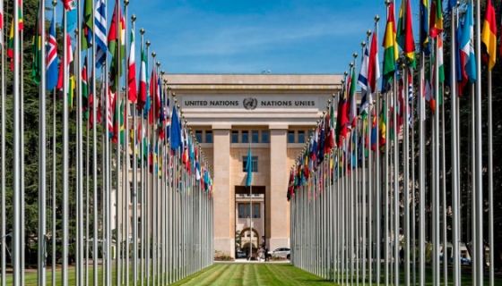 Мир отмечает День ООН