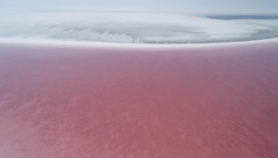 Соленое озеро в Турции изменило цвет на розовый