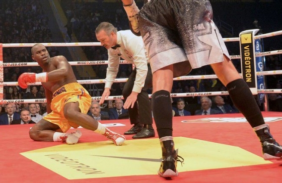 Гвоздик накаутировал канадца Стивенсона, став чемпионом мира по версии WBC