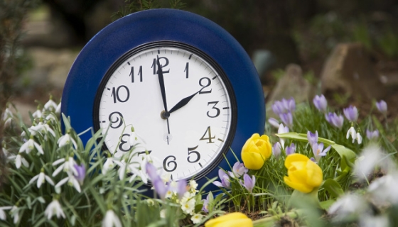 Украина в ночь на 28 марта перейдет на летнее время
