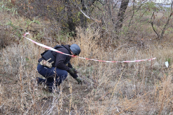 У лісовому масиві Краматорського району піротехніки ДСНС виявили та знищили артилерійський снаряд