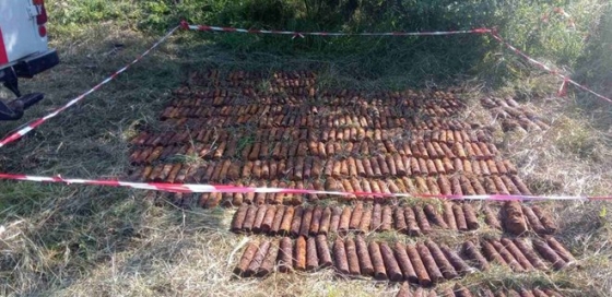 В Николаевской области нашли 502 снаряда времен прошлых войн. Их взорвали – фото 