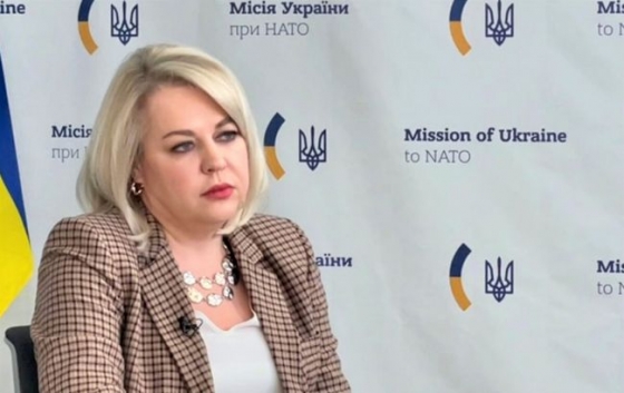 Представниця України в НАТО: не варто покладати всі надії на один контрнаступ