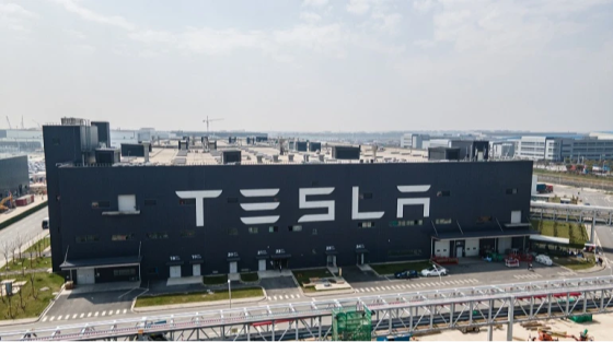 Tesla втратила 30% продажів у Європі за місяць, поки ринок електрокарів злітає
