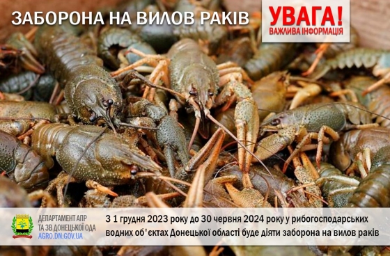 З 1 грудня у рибогосподарських водних об&#039;єктах Донецької області буде діяти заборона на вилов раків