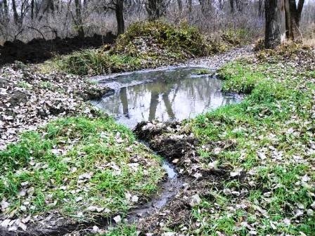 За ущерб, нанесенный природе, водоканал заплатит 56 тысяч гривен