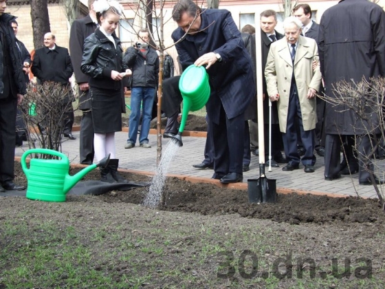 Енакиевская земля не приняла дерево, высаженное Януковичем