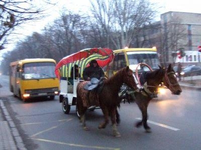 В Донецке туристов будут возить на повозках  