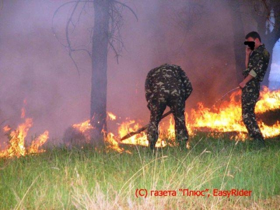 Лесной пожар тушили 10 часов