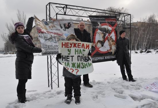 От донецкого губернатора потребовали прекратить &quot;зоофашизм&quot;