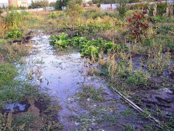 Десятки усадеб в поселке Беленькое превращены в болото. За ваш счет