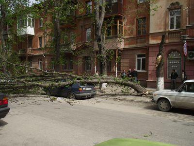 В Крыму ураган ломает деревья, крушит авто и сносит крыши домов