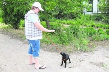 В Днепре собакам запретили лаять по ночам и справлять нужду на улице  