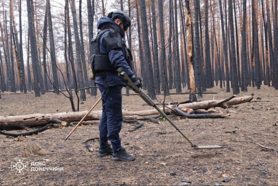 Як проходить розмінування національного парку «Святі гори»[/img<i>]Розмінування «Святих гір». Джерело фото: ДСНС Донеччини</i></p>Антон Гургач зізнається, що проводити розмінування в лісовому масиві — складно. Особливо зараз, через три роки після початку повномасштабних бойових дій. Міни вже покрилися шаром хвої та кори, через що їх складніше виявляти.<br /><br /><i>«На кожному метрі постійно все фонить. Потрібно багато часу, щоби перевірити кожен сигнал і не нарватися на міни. Тамтешня місцевість — нестабільна, рельєф змінюється. І, наприклад, якщо раніше міна могла бути на глибині 10 см, зараз — вже на глибині 30 см. Військові рф використовували міни ще й з пластиковими корпусами, це ще більше ускладнює пошуки. Тому робота йде повільно».</i><br /><br /><p align='center'>[img=incidents/94201828967e2b925aaf84.jpg]Як проходить розмінування національного парку «Святі гори»